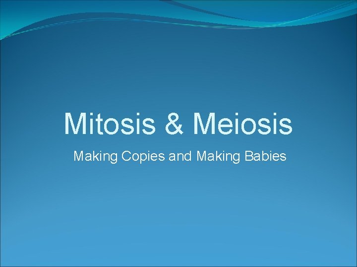 Mitosis & Meiosis Making Copies and Making Babies 