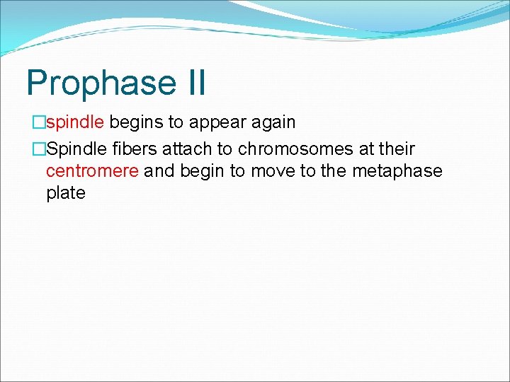 Prophase II �spindle begins to appear again �Spindle fibers attach to chromosomes at their