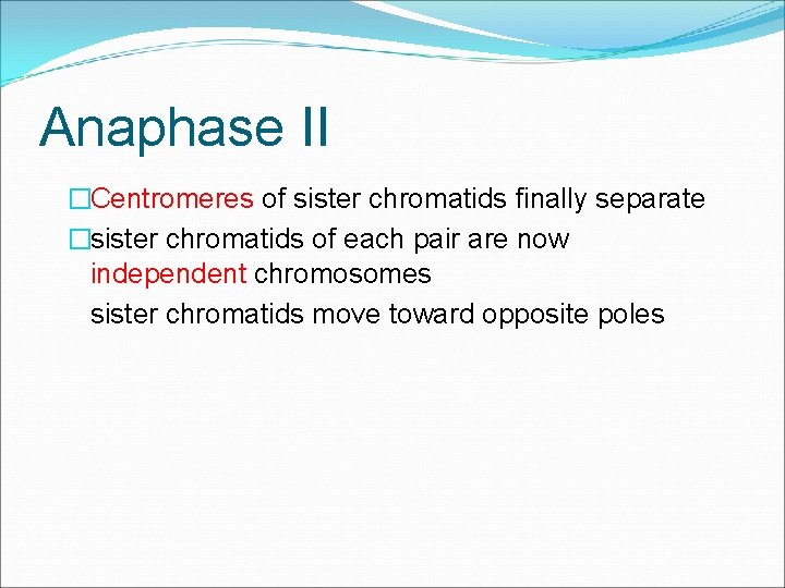 Anaphase II �Centromeres of sister chromatids finally separate �sister chromatids of each pair are