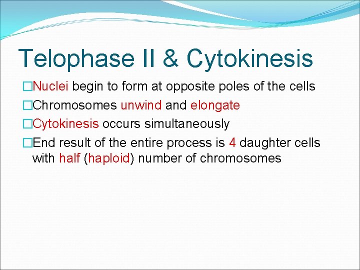 Telophase II & Cytokinesis �Nuclei begin to form at opposite poles of the cells