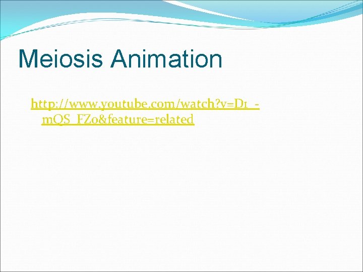 Meiosis Animation http: //www. youtube. com/watch? v=D 1_m. QS_FZ 0&feature=related 
