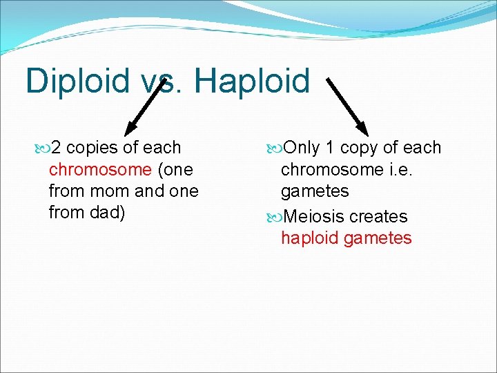 Diploid vs. Haploid 2 copies of each chromosome (one from mom and one from