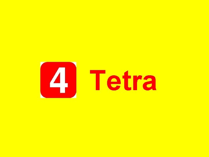 Tetra 