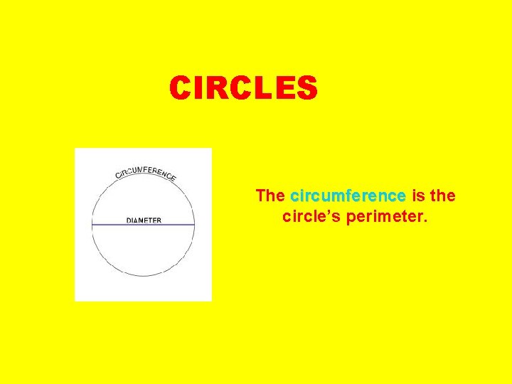 CIRCLES The circumference is the circle’s perimeter. 