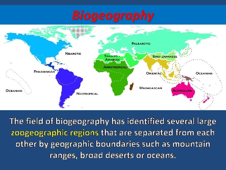 Biogeography The field of biogeography has identified several large zoogeographic regions that are separated
