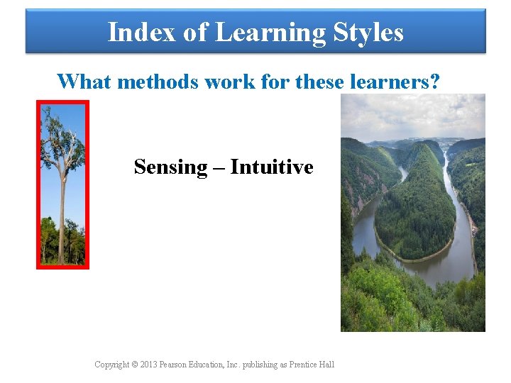 Index of Learning Styles What methods work for these learners? Sensing – Intuitive Copyright