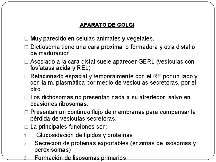 APARATO DE GOLGI � Muy parecido en células animales y vegetales. � Dictiosoma tiene