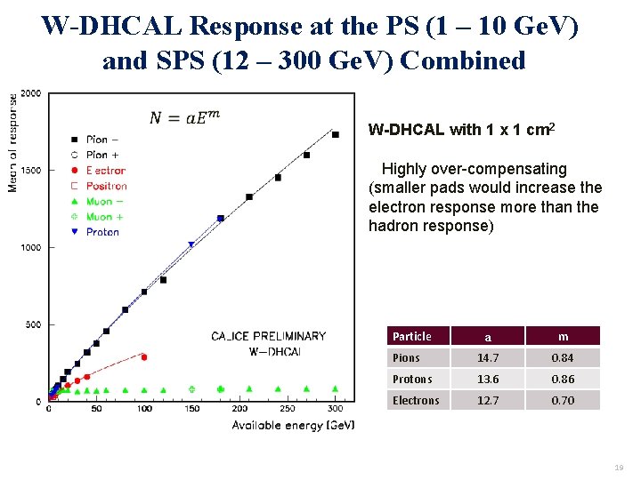 W-DHCAL Response at the PS (1 – 10 Ge. V) and SPS (12 –