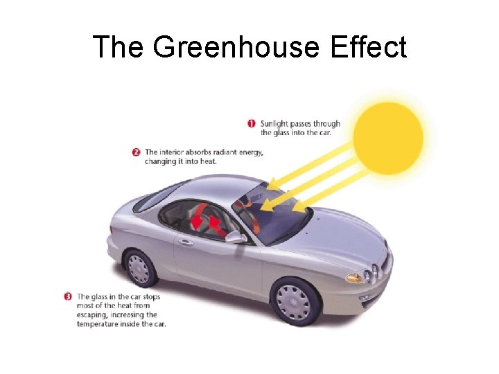 The Greenhouse Effect 