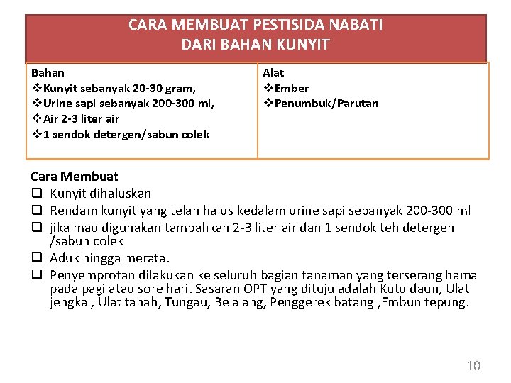 CARA MEMBUAT PESTISIDA NABATI DARI BAHAN KUNYIT Bahan v. Kunyit sebanyak 20 -30 gram,