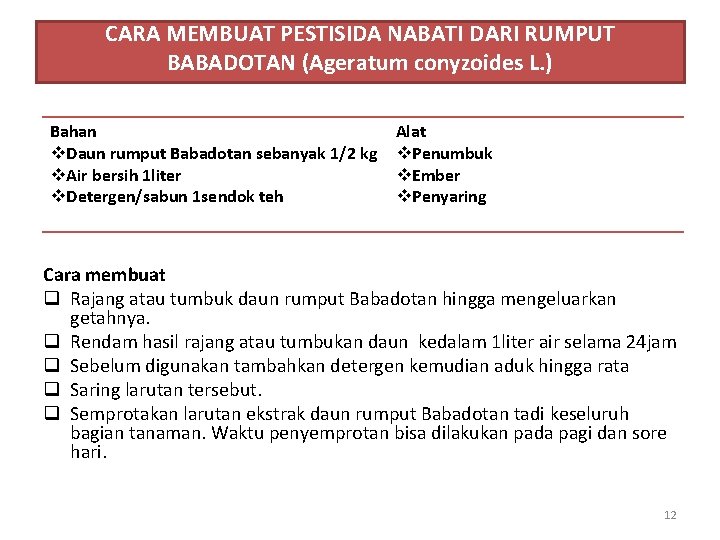 CARA MEMBUAT PESTISIDA NABATI DARI RUMPUT BABADOTAN (Ageratum conyzoides L. ) Bahan v. Daun