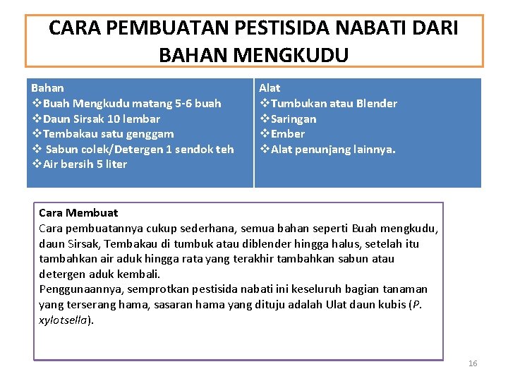 CARA PEMBUATAN PESTISIDA NABATI DARI BAHAN MENGKUDU Bahan v. Buah Mengkudu matang 5 -6