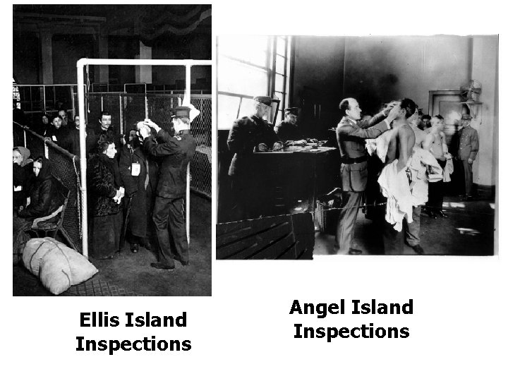 Ellis Island Inspections Angel Island Inspections 