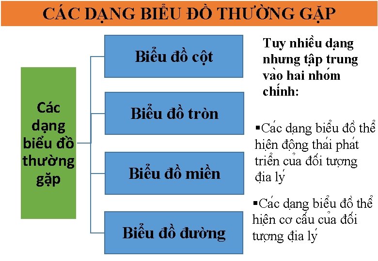 CÁC DẠNG BIỂU ĐỒ THƯỜNG GẶP Biểu đồ cột Các dạng biểu đồ thường