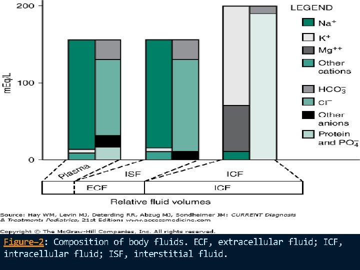 Figure– 2: Composition of body fluids. ECF, extracellular fluid; ICF, intracellular fluid; ISF, interstitial