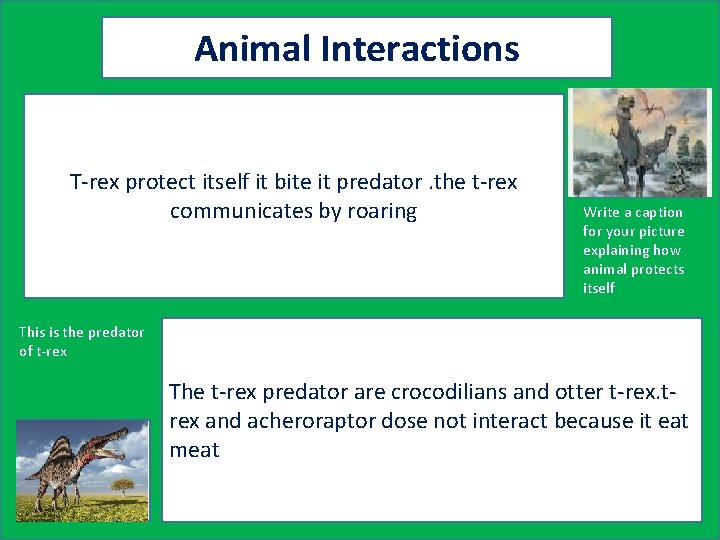 Animal Interactions T-rex protect itself it bite it predator. the t-rex communicates by roaring