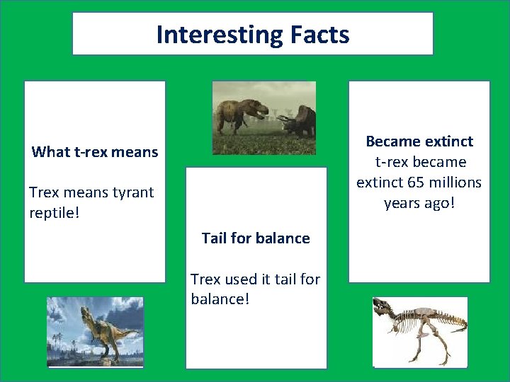 Interesting Facts What t-rex means A pic to accompany fact #2 Trex means tyrant