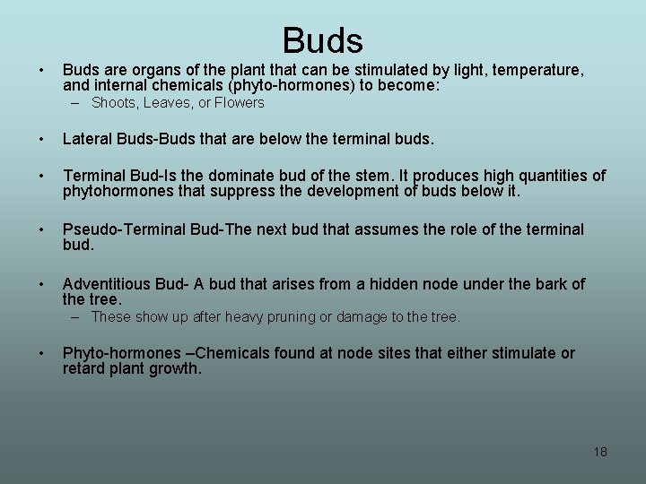  • Buds are organs of the plant that can be stimulated by light,