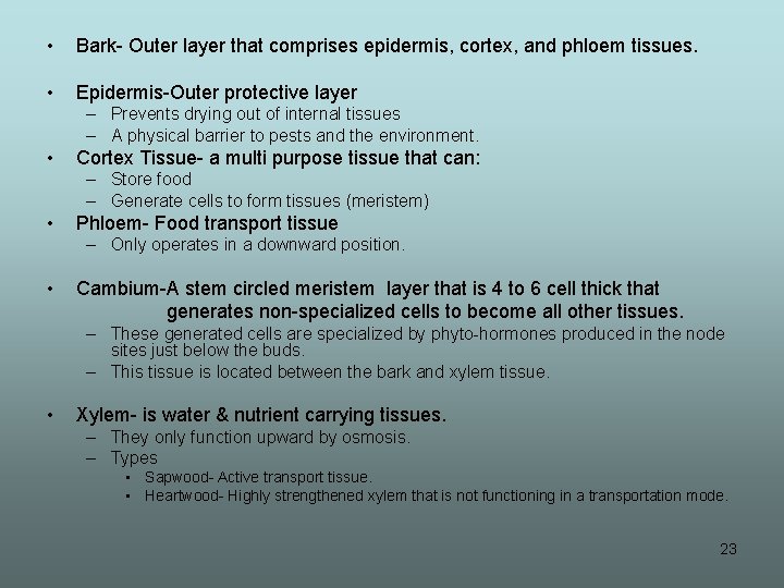  • Bark- Outer layer that comprises epidermis, cortex, and phloem tissues. • Epidermis-Outer