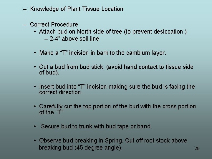 – Knowledge of Plant Tissue Location – Correct Procedure • Attach bud on North