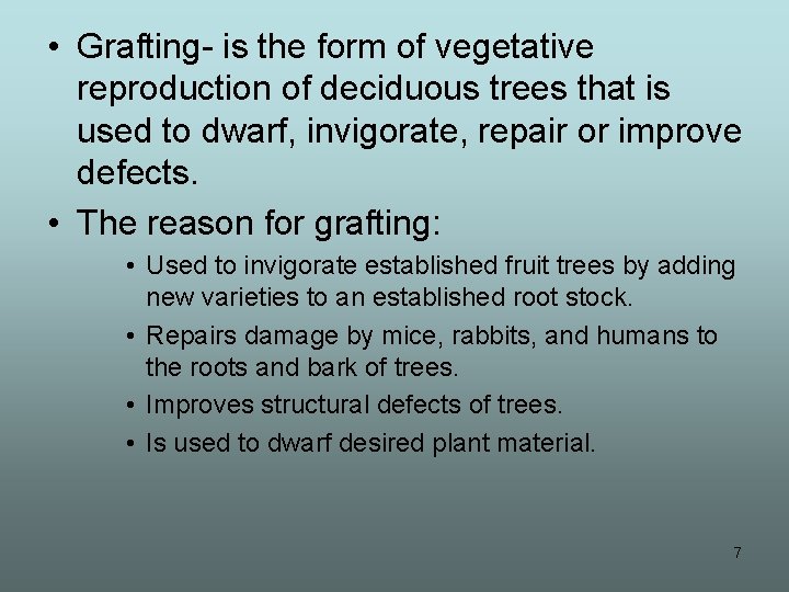  • Grafting- is the form of vegetative reproduction of deciduous trees that is