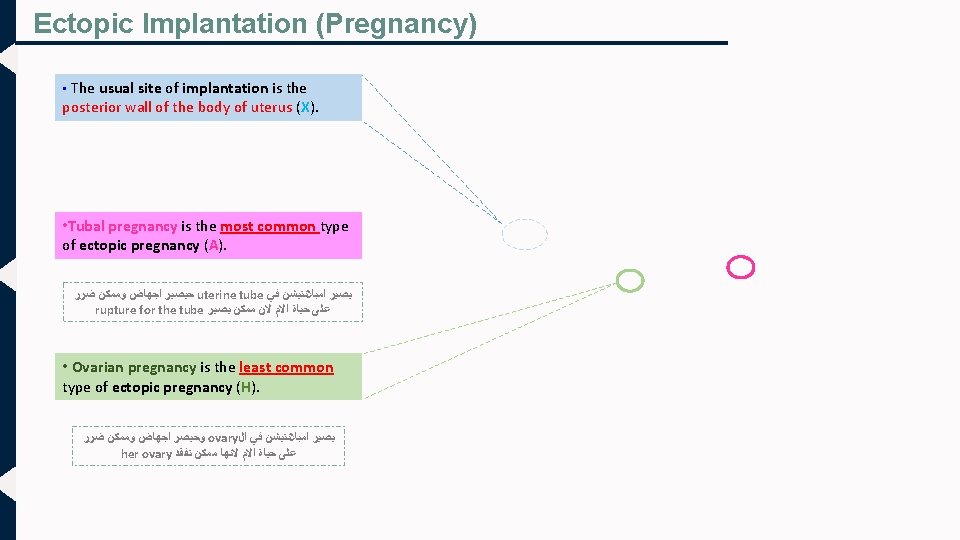 Ectopic Implantation (Pregnancy) • The usual site of implantation is the posterior wall of