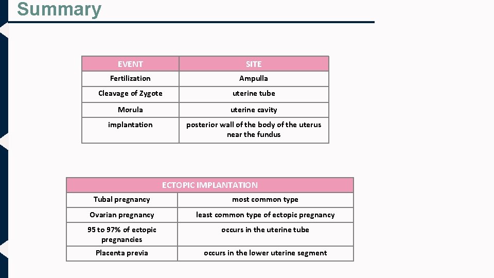 Summary EVENT SITE Fertilization Ampulla Cleavage of Zygote uterine tube Morula uterine cavity implantation