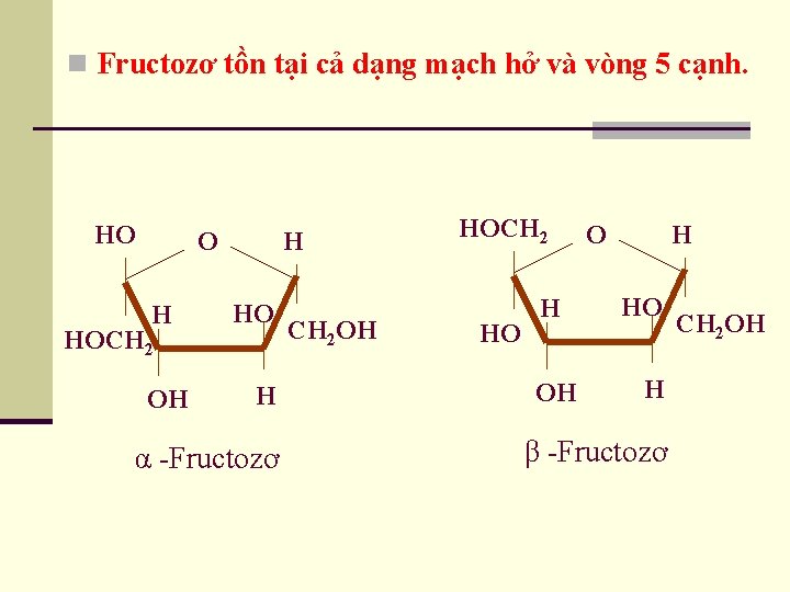 n Fructozơ tồn tại cả dạng mạch hở và vòng 5 cạnh. HO O