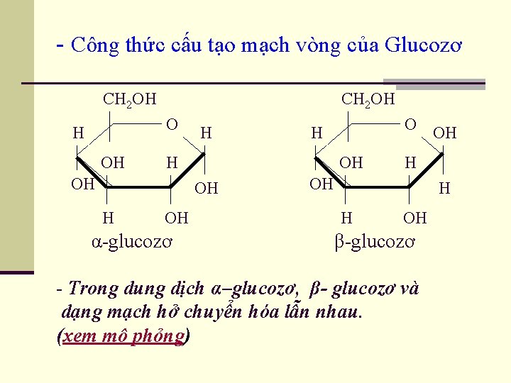 - Công thức cấu tạo mạch vòng của Glucozơ CH 2 OH O H