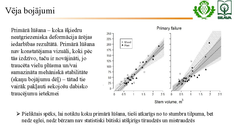 Vēja bojājumi Primārā lūšana – koka šķiedru neatgriezeniska deformācija ārējas iedarbības rezultātā. Primārā lūšana