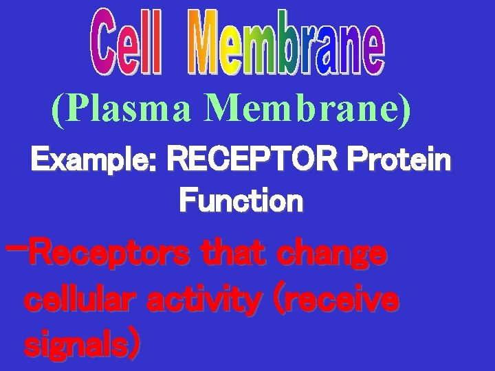 (Plasma Membrane) Example: RECEPTOR Protein Function -Receptors that change cellular activity (receive signals) 