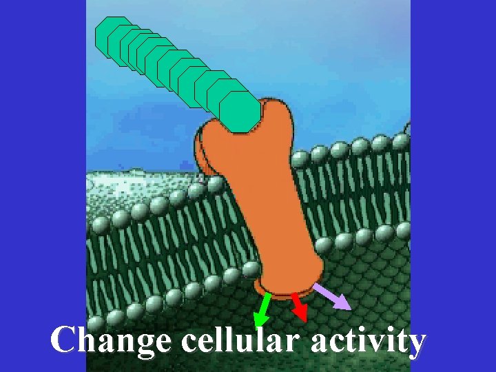 Change cellular activity 
