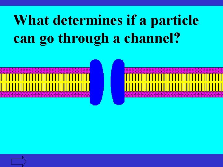 What determines if a particle can go through a channel? 