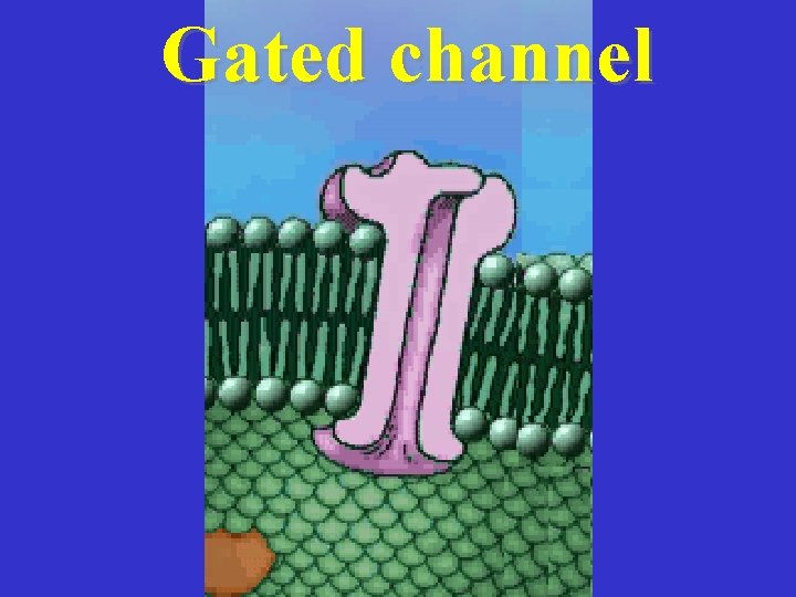 Gated channel 