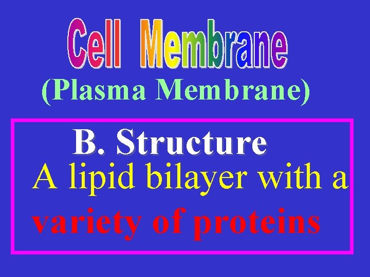 (Plasma Membrane) B. Structure A lipid bilayer with a variety of proteins 