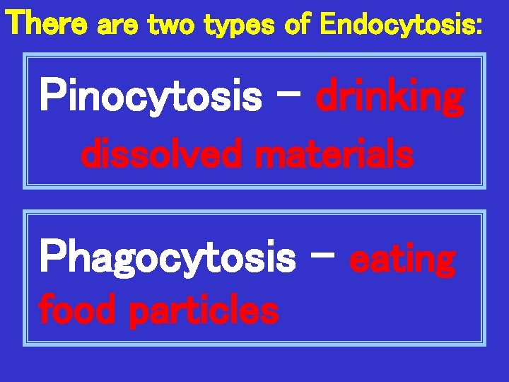 There are two types of Endocytosis: Pinocytosis - drinking dissolved materials Phagocytosis – eating