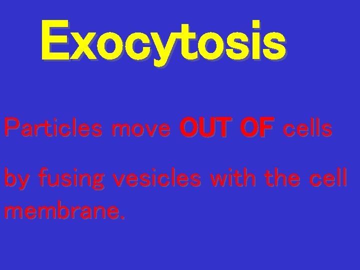 Exocytosis Particles move OUT OF cells by fusing vesicles with the cell membrane. 