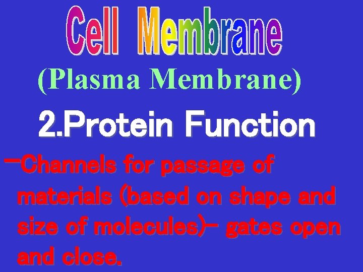 (Plasma Membrane) 2. Protein Function -Channels for passage of materials (based on shape and
