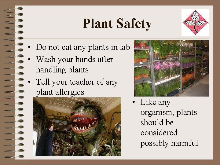 Plant Safety • Do not eat any plants in lab • Wash your hands