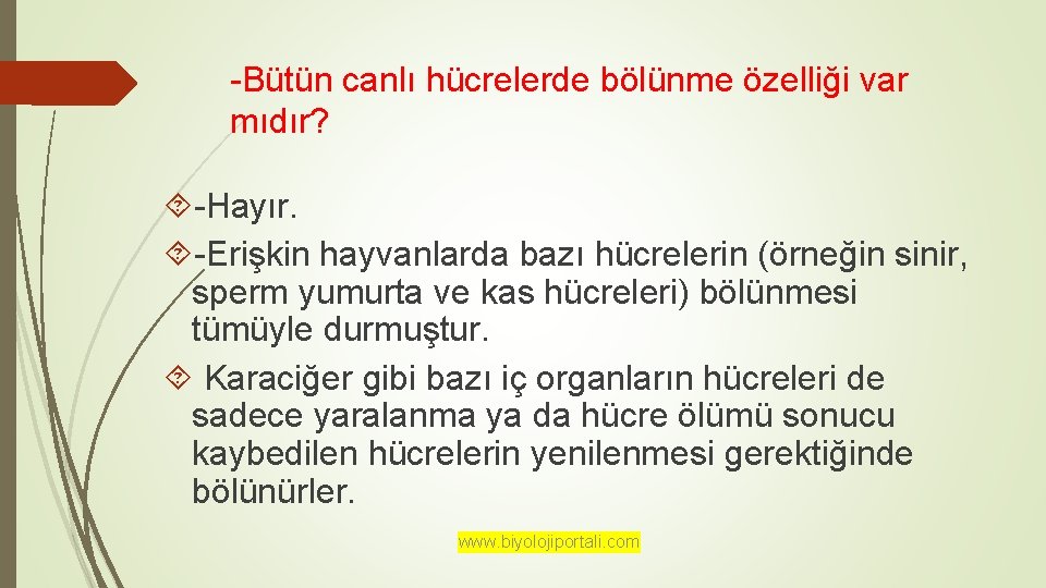 -Bütün canlı hücrelerde bölünme özelliği var mıdır? -Hayır. -Erişkin hayvanlarda bazı hücrelerin (örneğin sinir,