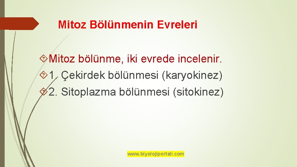 Mitoz Bölünmenin Evreleri Mitoz bölünme, iki evrede incelenir. 1. Çekirdek bölünmesi (karyokinez) 2. Sitoplazma