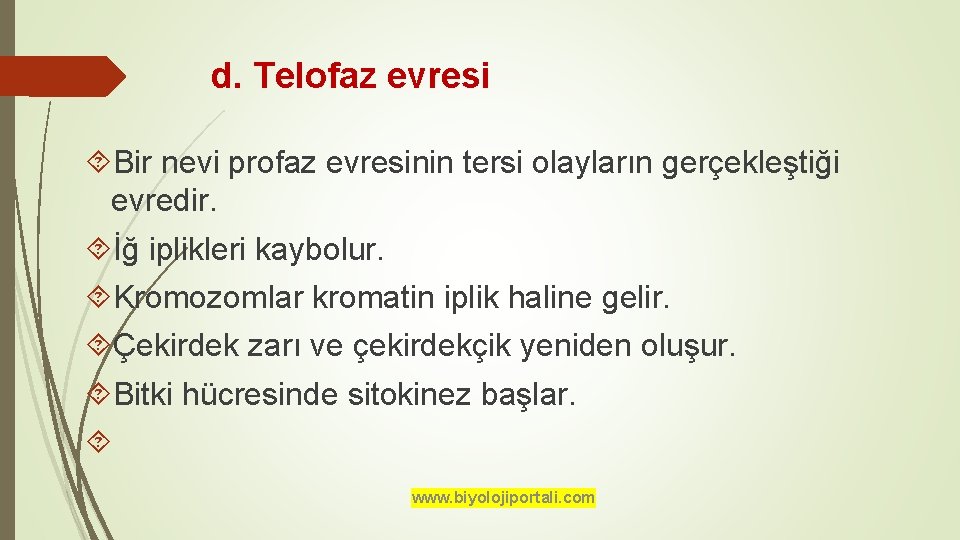 d. Telofaz evresi Bir nevi profaz evresinin tersi olayların gerçekleştiği evredir. İğ iplikleri kaybolur.