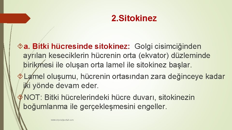 2. Sitokinez a. Bitki hücresinde sitokinez: Golgi cisimciğinden ayrılan keseciklerin hücrenin orta (ekvator) düzleminde