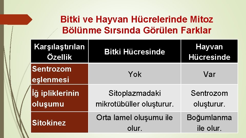 Bitki ve Hayvan Hücrelerinde Mitoz Bölünme Sırsında Görülen Farklar Karşılaştırılan Özellik Bitki Hücresinde Hayvan