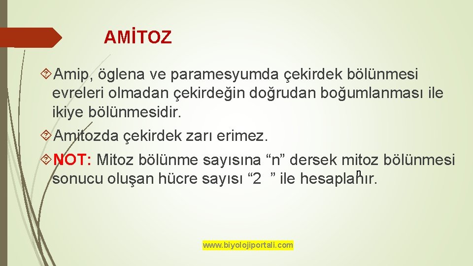 AMİTOZ Amip, öglena ve paramesyumda çekirdek bölünmesi evreleri olmadan çekirdeğin doğrudan boğumlanması ile ikiye