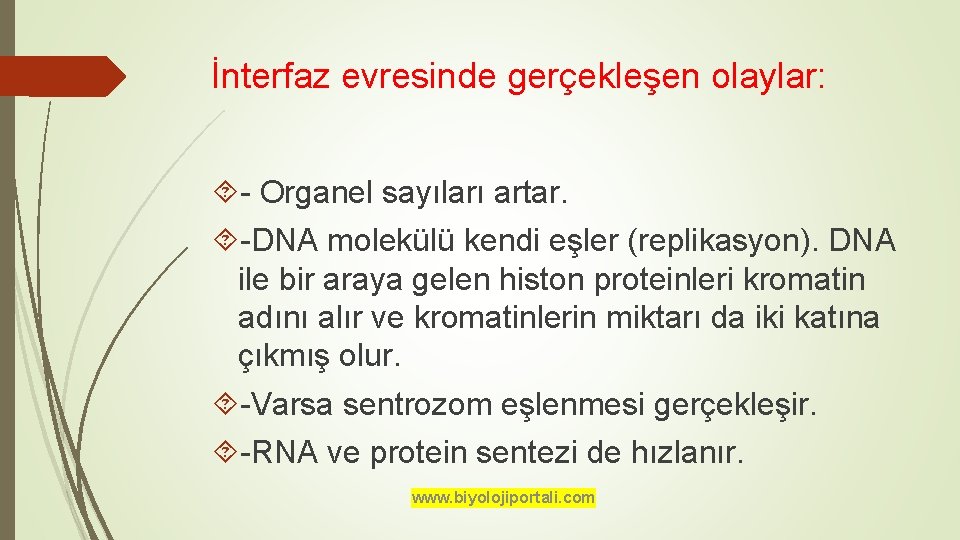 İnterfaz evresinde gerçekleşen olaylar: - Organel sayıları artar. -DNA molekülü kendi eşler (replikasyon). DNA