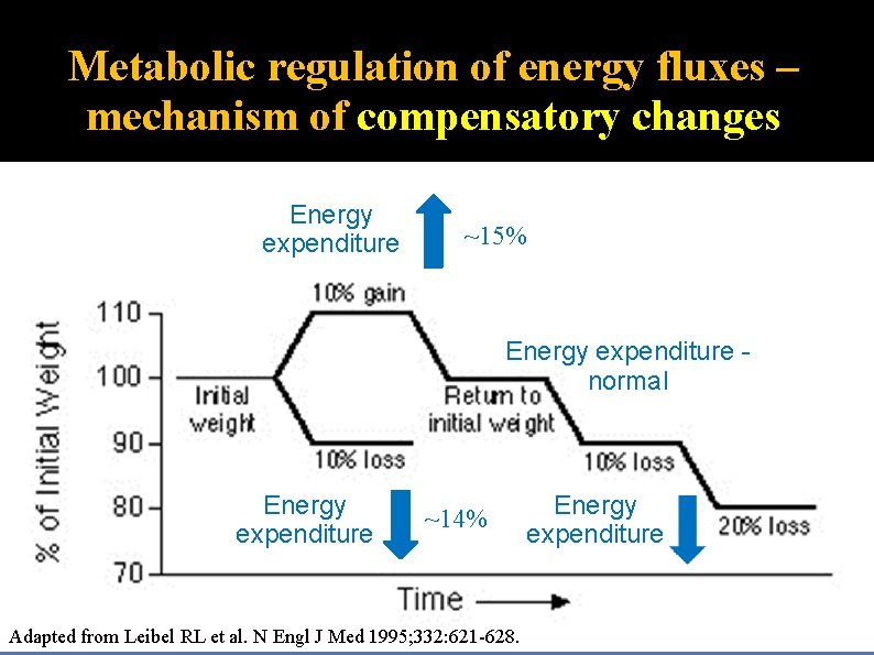 Metabolic regulation of energy fluxes – mechanism of compensatory changes Energy expenditure ~15% Energy
