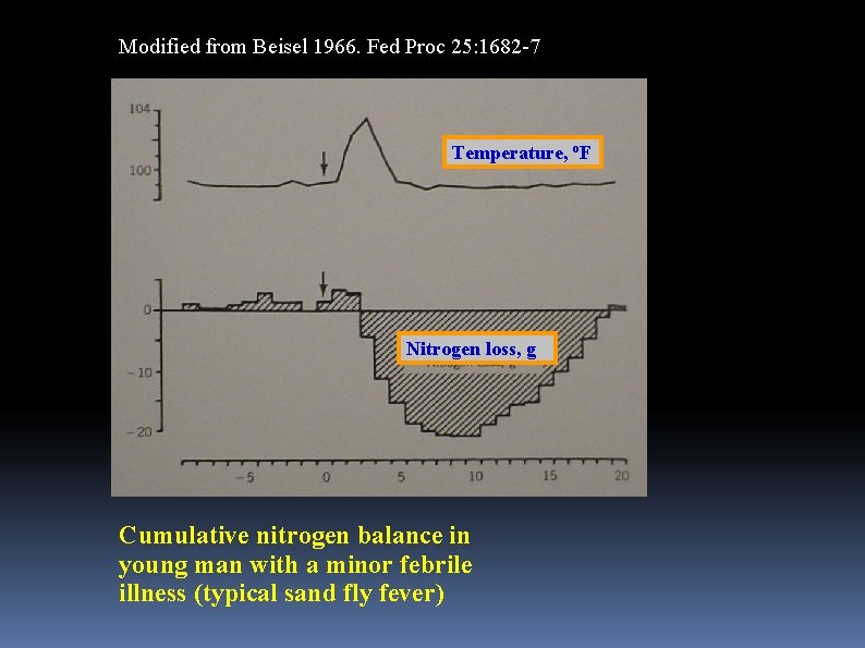 Modified from Beisel 1966. Fed Proc 25: 1682 -7 Temperature, o. F Nitrogen loss,