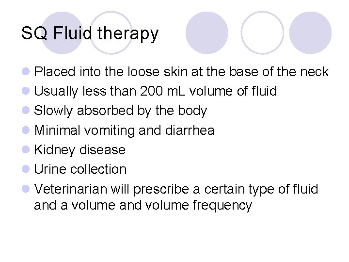 SQ Fluid therapy l Placed into the loose skin at the base of the