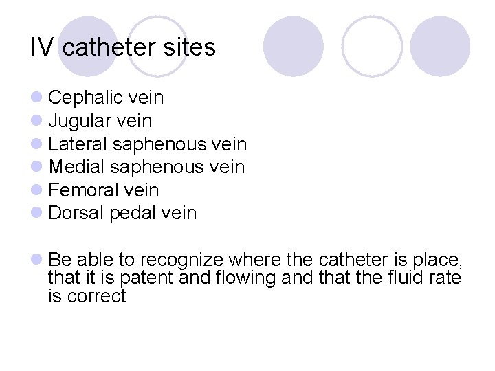 IV catheter sites l Cephalic vein l Jugular vein l Lateral saphenous vein l